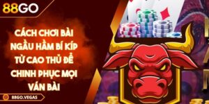 Cách Chơi Bài Ngầu Hầm Bí Kíp Từ Cao Thủ Để Chinh Phục Mọi Ván Bài 2 cách chơi bài ngầu hầm