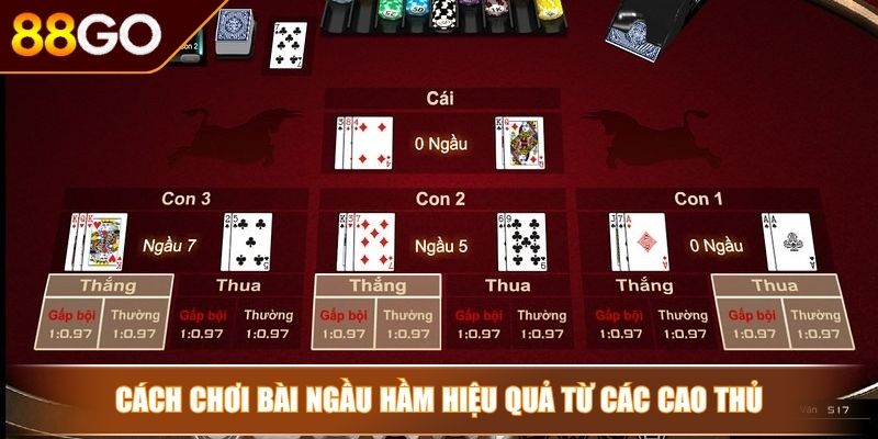 Cách Chơi Bài Ngầu Hầm Bí Kíp Từ Cao Thủ Để Chinh Phục Mọi Ván Bài 3 Cách chơi bài ngầu hầm hiệu quả từ các cao thủ