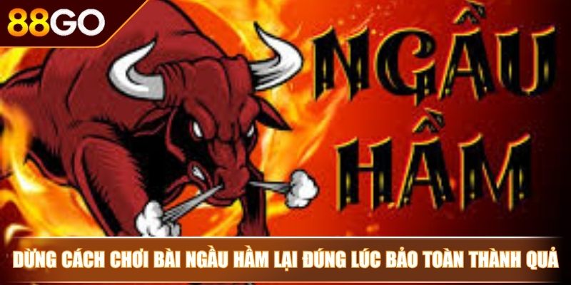 Cách Chơi Bài Ngầu Hầm Bí Kíp Từ Cao Thủ Để Chinh Phục Mọi Ván Bài 4 Dừng cách chơi bài ngầu hầm lại đúng lúc bảo toàn thành quả